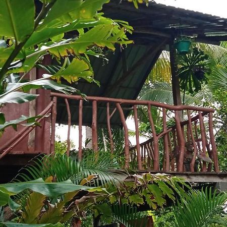 Sigiri Panaromic Tree House Villa Sigiriya Eksteriør billede