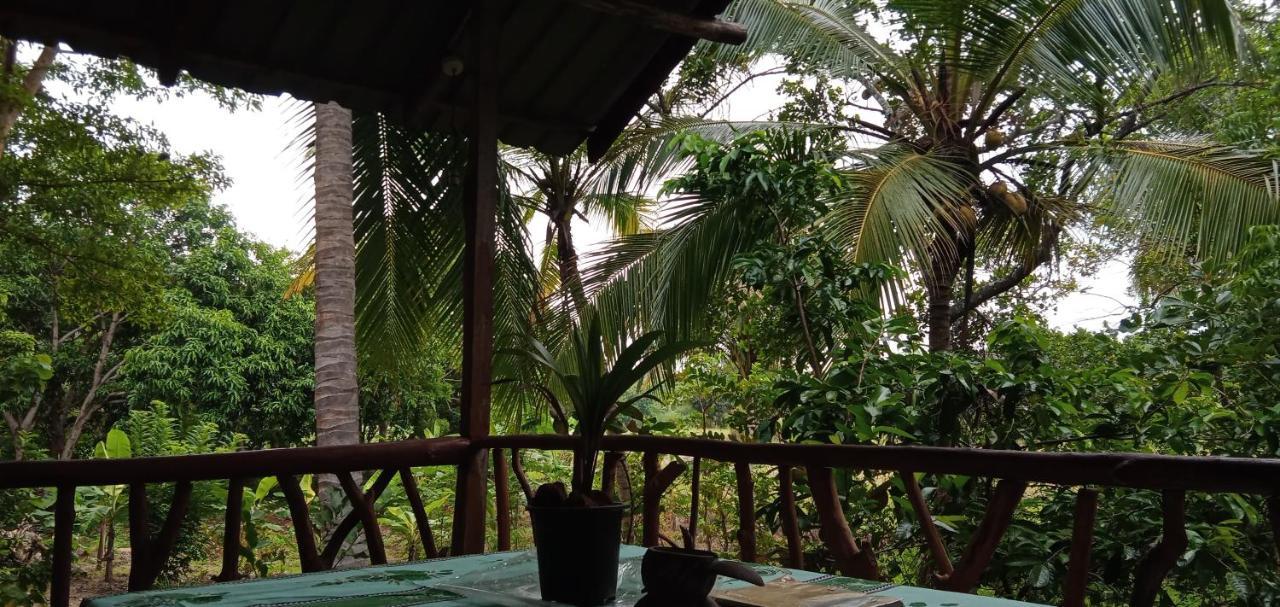Sigiri Panaromic Tree House Villa Sigiriya Eksteriør billede