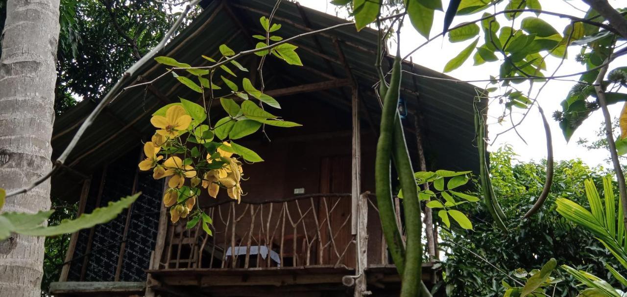 Sigiri Panaromic Tree House Villa Sigiriya Eksteriør billede