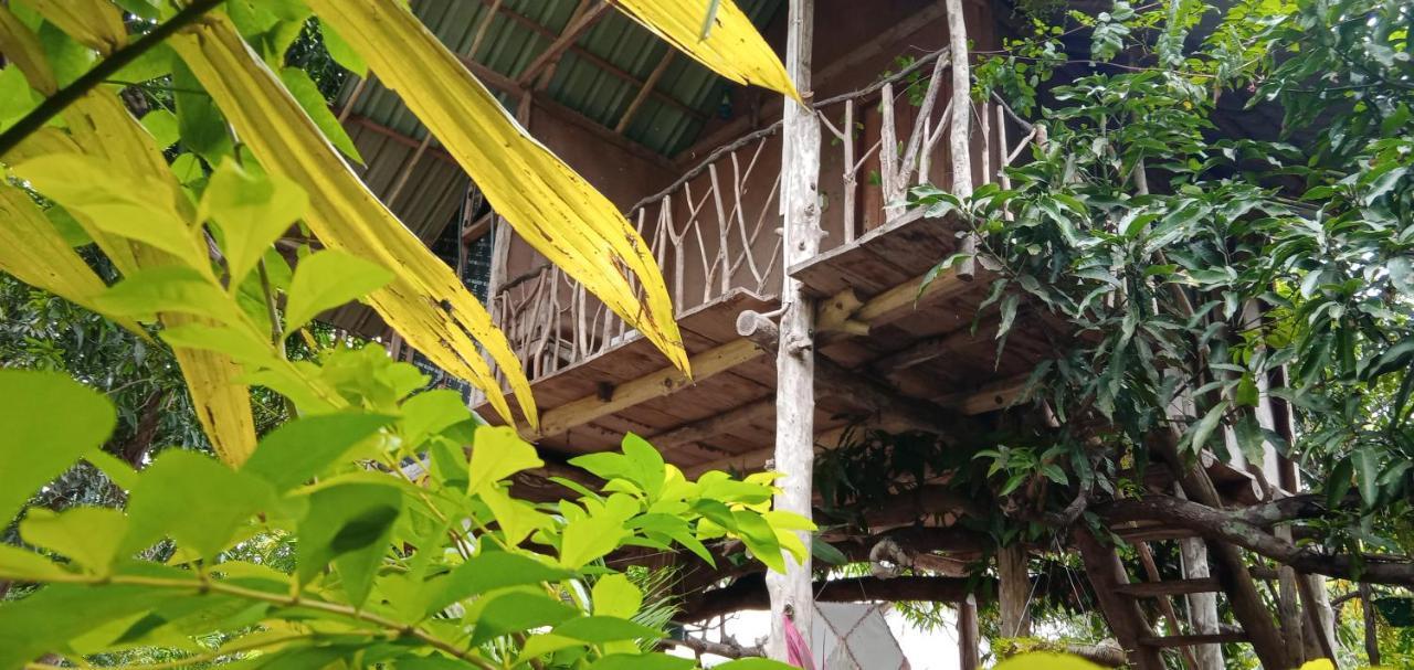 Sigiri Panaromic Tree House Villa Sigiriya Eksteriør billede