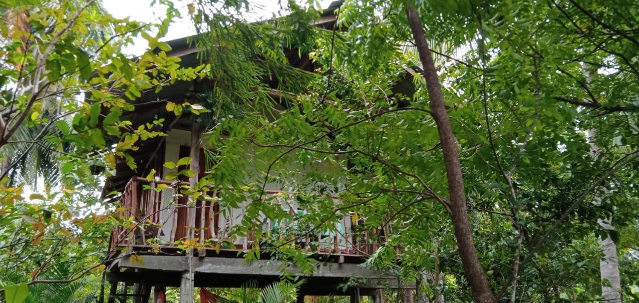 Sigiri Panaromic Tree House Villa Sigiriya Eksteriør billede